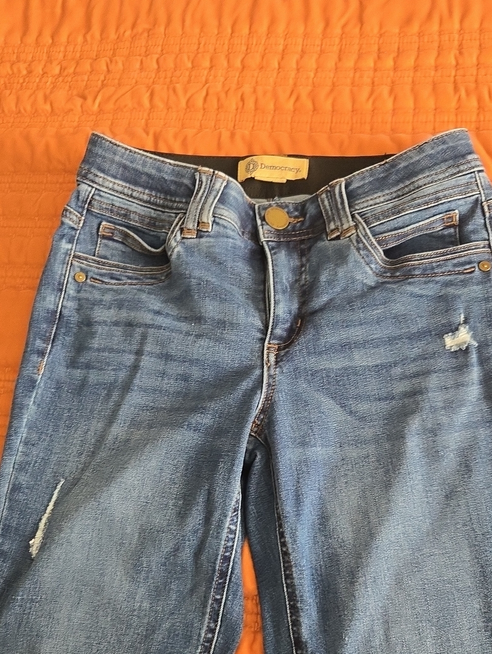 Democracy Skinny Jeans in Blue Wash